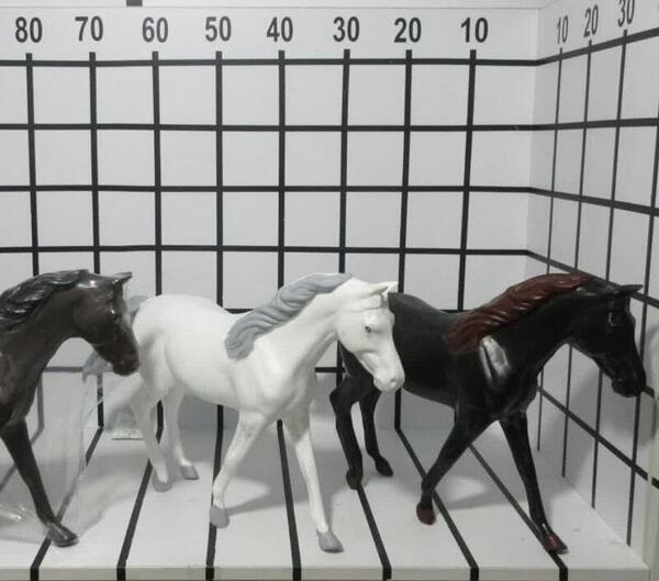 عکس اسب مشکی بزرگ