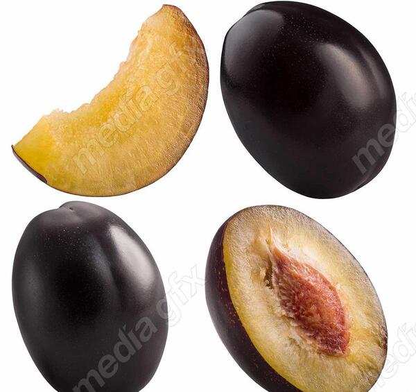 عکس از آلو سیاه