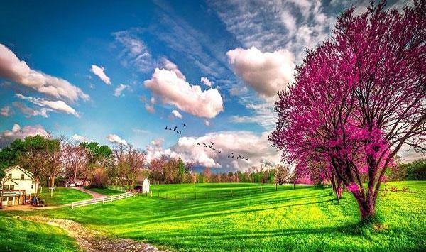 عکس افقی و عمودی از طبیعت