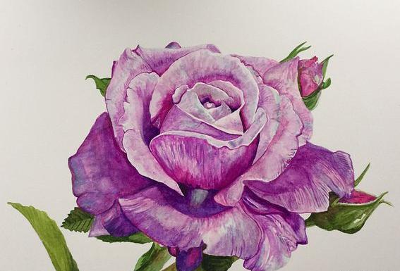 عکس گل فانتزی نقاشی