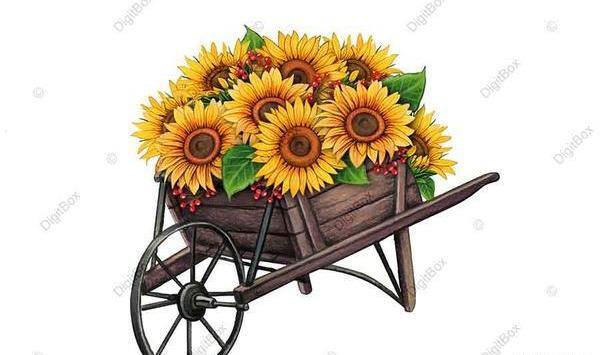 عکس گل فانتزی نقاشی