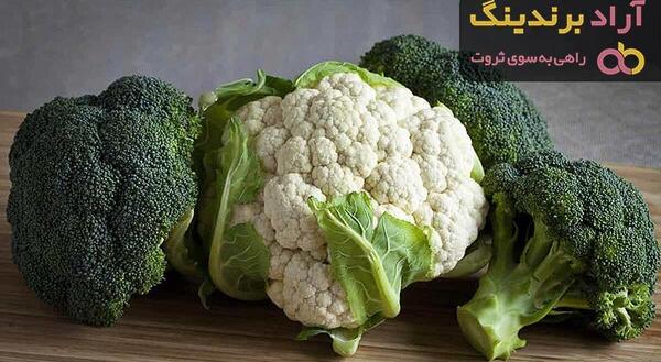 عکس گل کلم بنفش