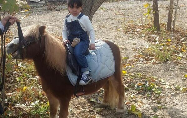 عکس اسب بچه ها