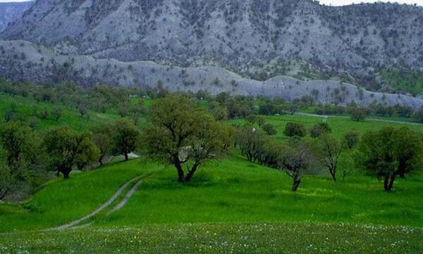 عکس طبیعت ایلام زمستان