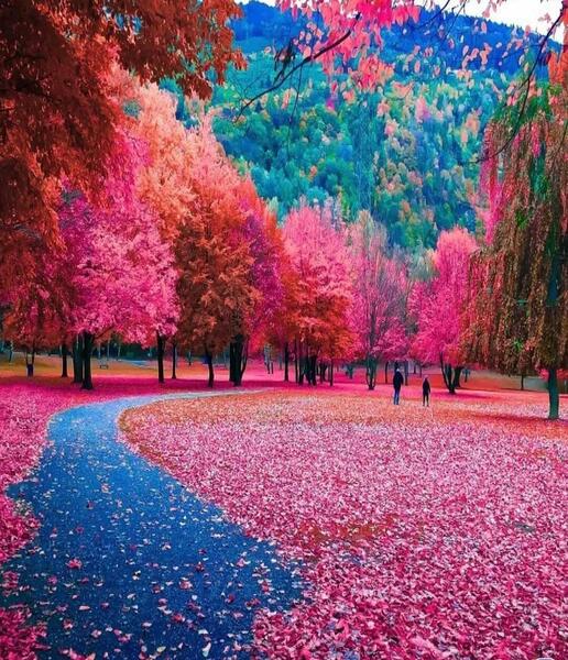 عکس هایی از طبیعت زیبای کرمانشاه