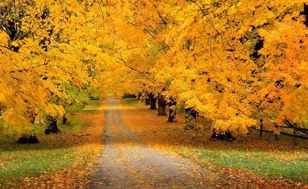 عکس هایی از طبیعت زیبای کرمانشاه