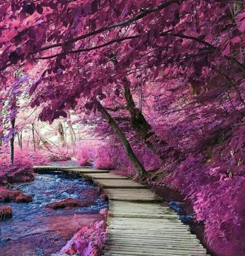 عکس هایی از طبیعت زیبای کرمانشاه