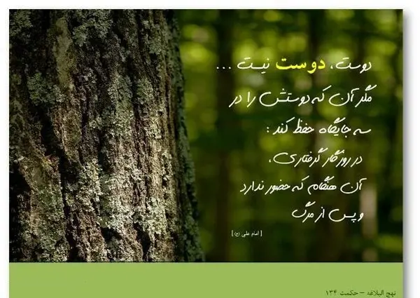 عکس زیبا از امام علی