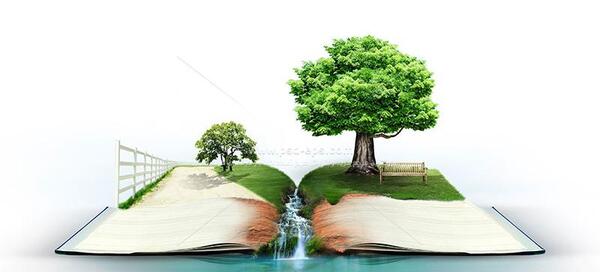 عکس از طبیعت درختان