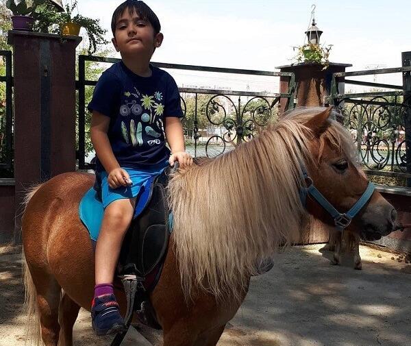 عکس اسب سواری زیبا