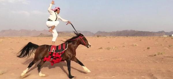 عکس اسب سواری زیبا