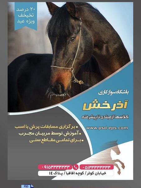 عکس اسب سواری زیبا