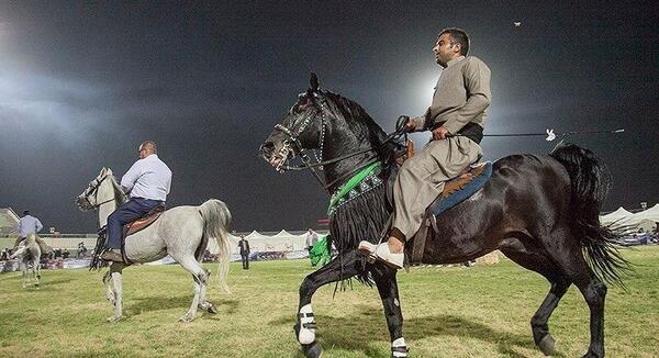 عکس اسب سواری زیبا