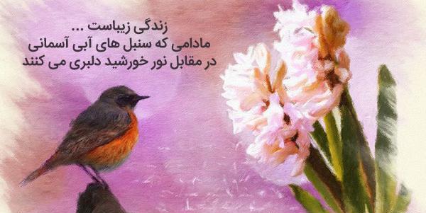 عکس گل سنبل نقاشی