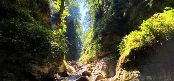 عکس هایی از طبیعت شمال ایران