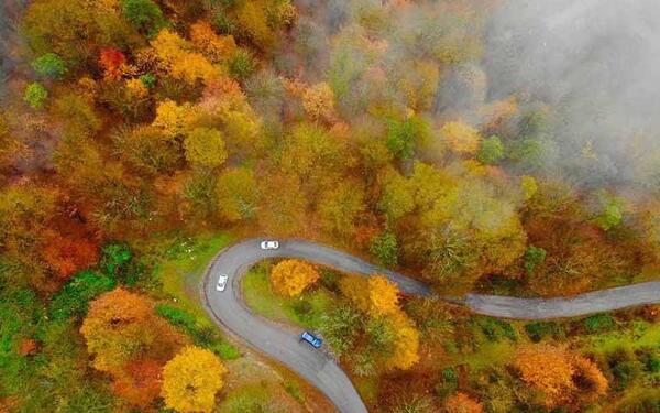 عکس هایی از طبیعت شمال ایران