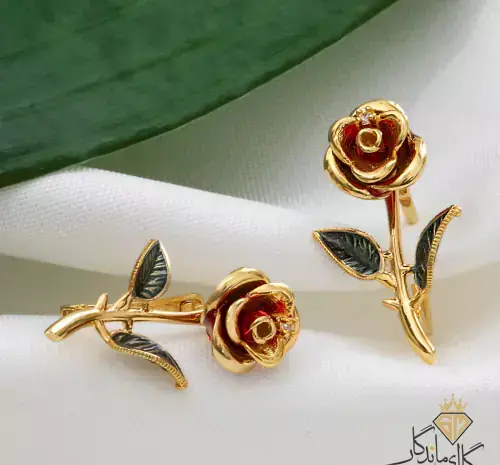 عکس طلای گل رز