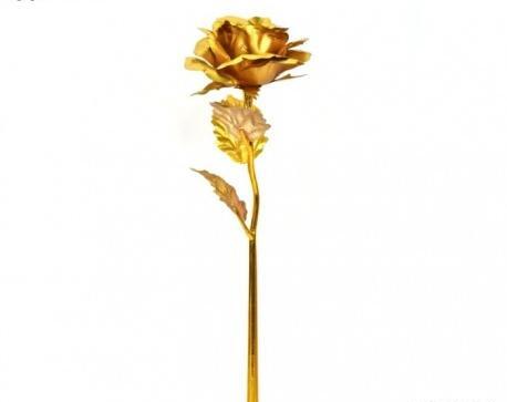 عکس طلای گل رز