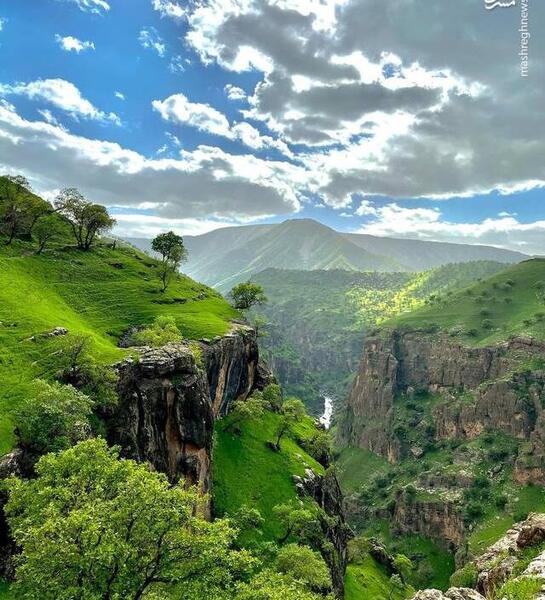 عکس طبیعی از طبیعت بهاری