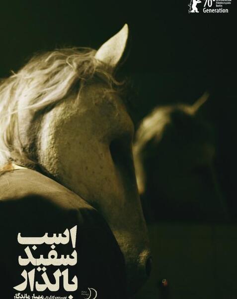 عکس های اسب پرنده