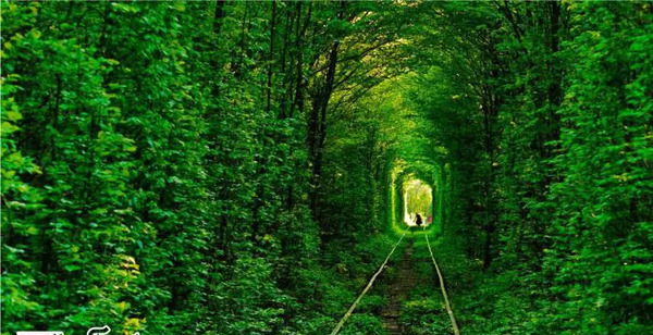 عکس های جدید از طبیعت جهان