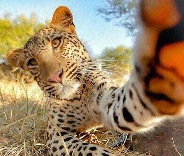 عکس های طبیعت ناب