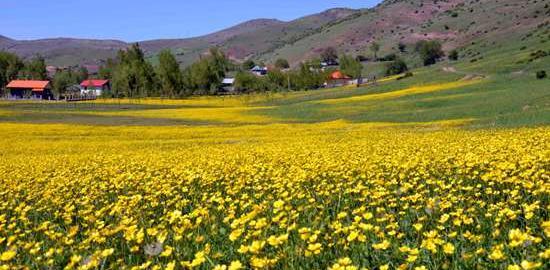 عکس طبیعت گیلان رودبار