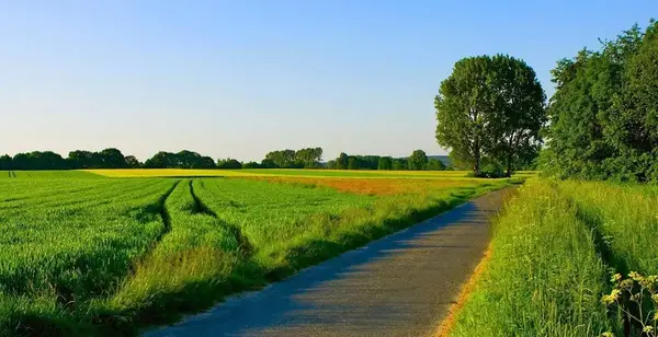 عکس های طبیعت تابستانی