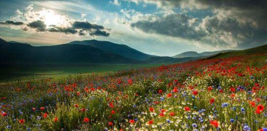 عکس های طبیعت تابستانی