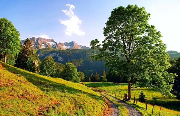 عکس های طبیعت تابستانی