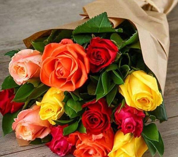 عکس گل رز خوشگل برای پروفایل