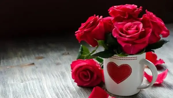 عکس گل رز خوشگل برای پروفایل