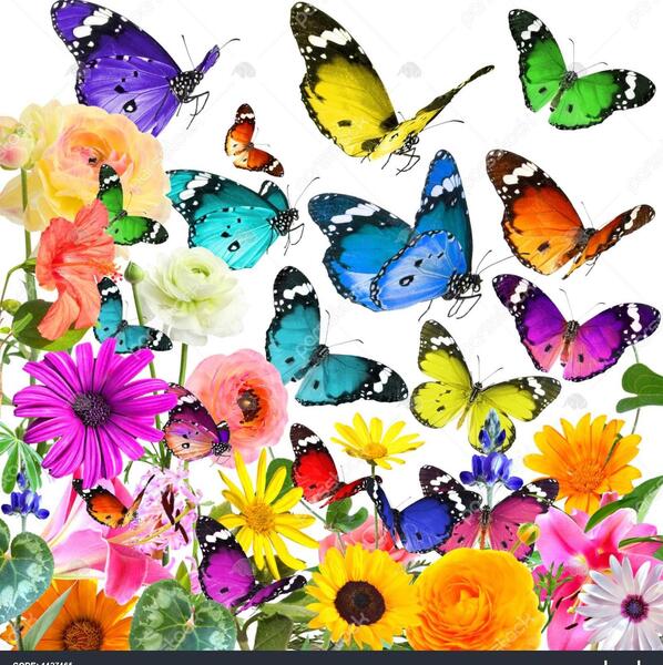 عکس های رنگارنگ از طبیعت