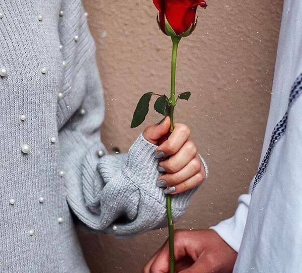 عکس گل و دست عاشقانه