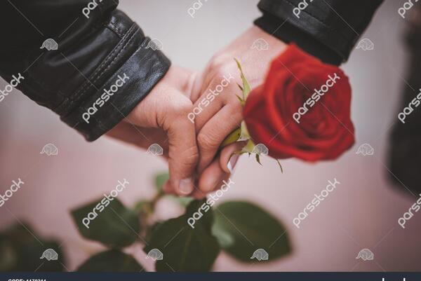 عکس گل و دست عاشقانه
