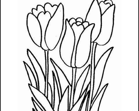عکس کودکانه گل لاله