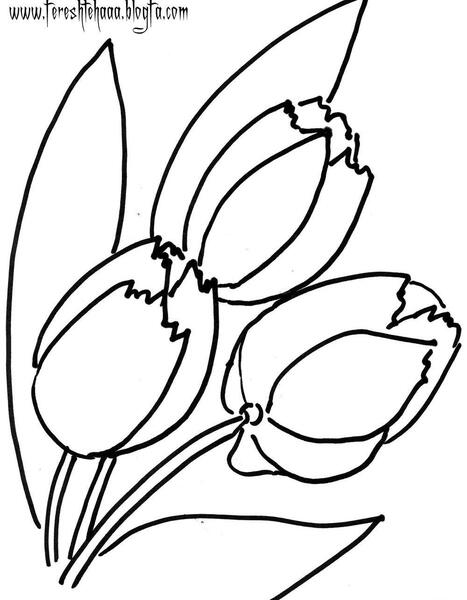 عکس کودکانه گل لاله