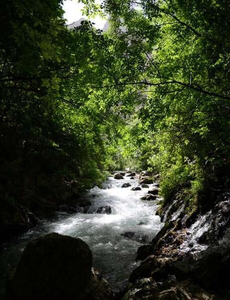 عکس طبیعت پالنگان