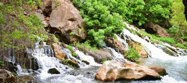 عکس طبیعت پالنگان