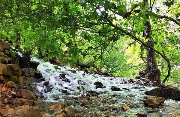 عکس طبیعت پالنگان