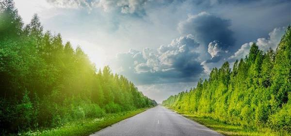 عکس طبیعت سرسبز زیبا
