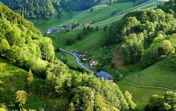 عکس طبیعت سرسبز زیبا
