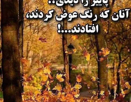 عکس غمگین پاییزی پروفایل