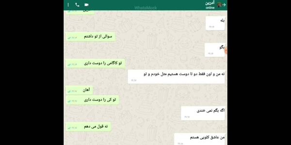 عکس چت های عاشقانه مرینت و آدرین