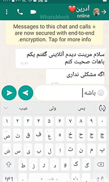 عکس چت های عاشقانه مرینت و آدرین