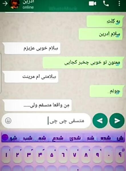 عکس چت های عاشقانه مرینت و آدرین