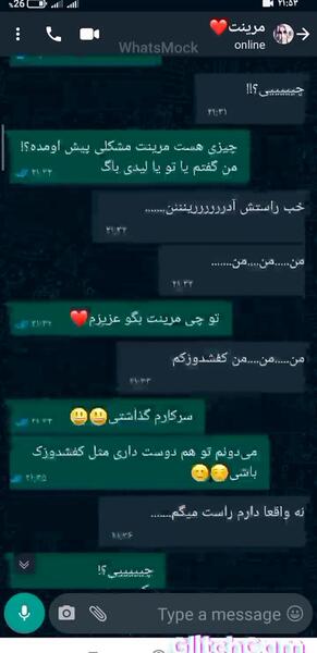 عکس چت های عاشقانه مرینت و آدرین