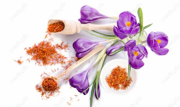 عکس گل زعفران سفید
