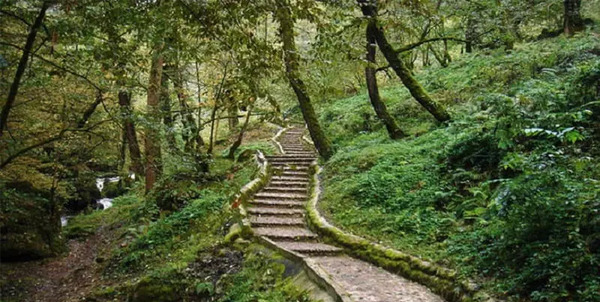 عکس هایی از طبیعت ماسوله