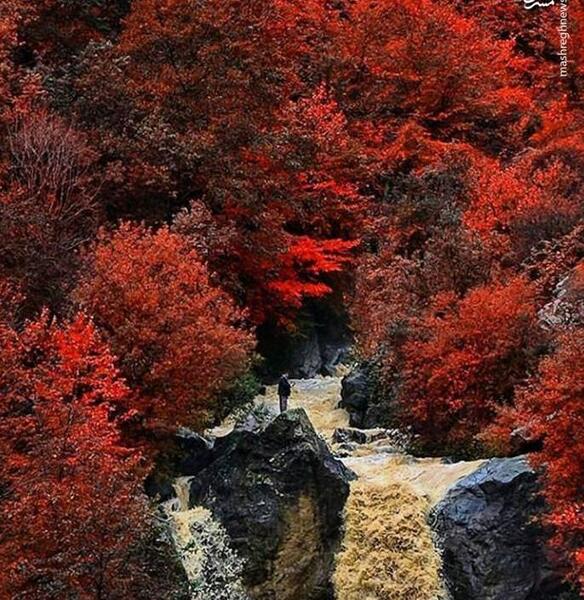 عکس هایی از طبیعت ماسوله
